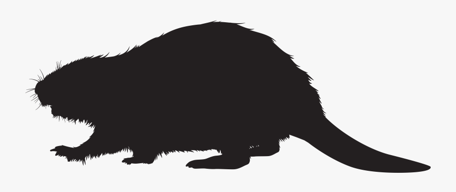 Cat Dog Black And White Canidae - Beaver Silhouette Png, Transparent Clipart