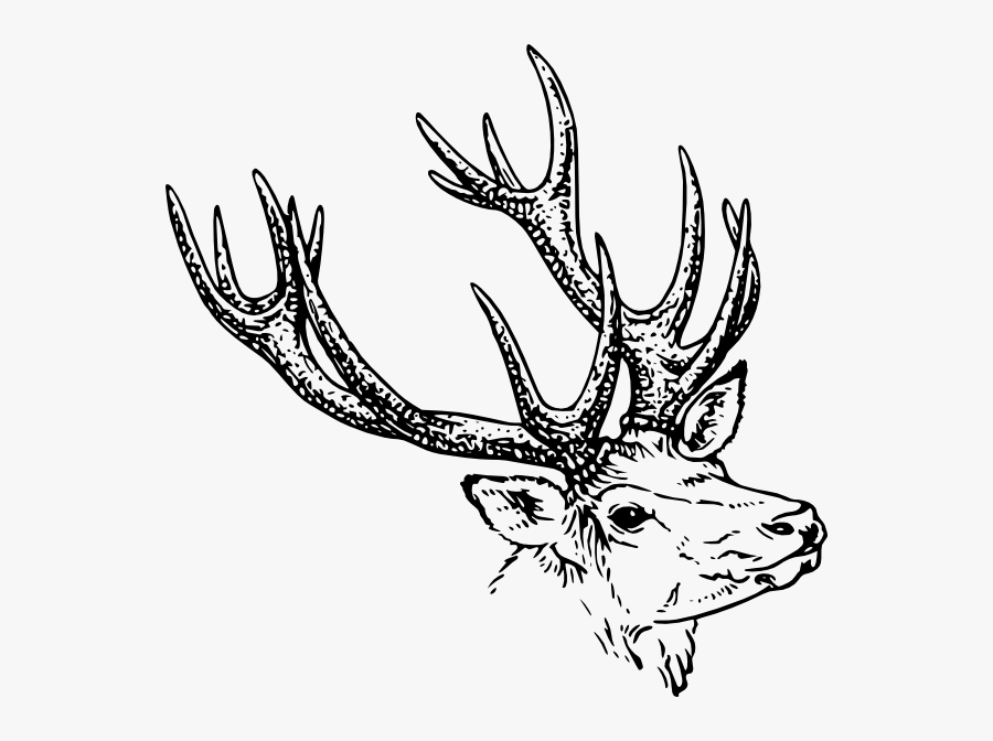 Clipart Black And White Antler, Transparent Clipart