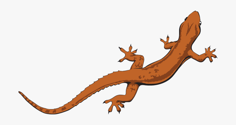 Download Lizard Png File - Transparent Background Lizard Clipart, Transparent Clipart