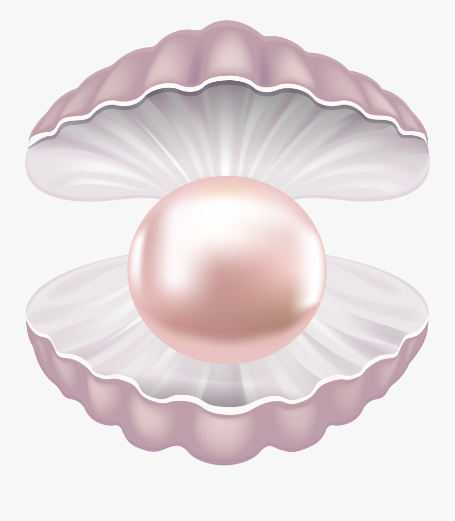 Clip Art Shell Transparent Png Image - Pearl With Shell Png, Transparent Clipart