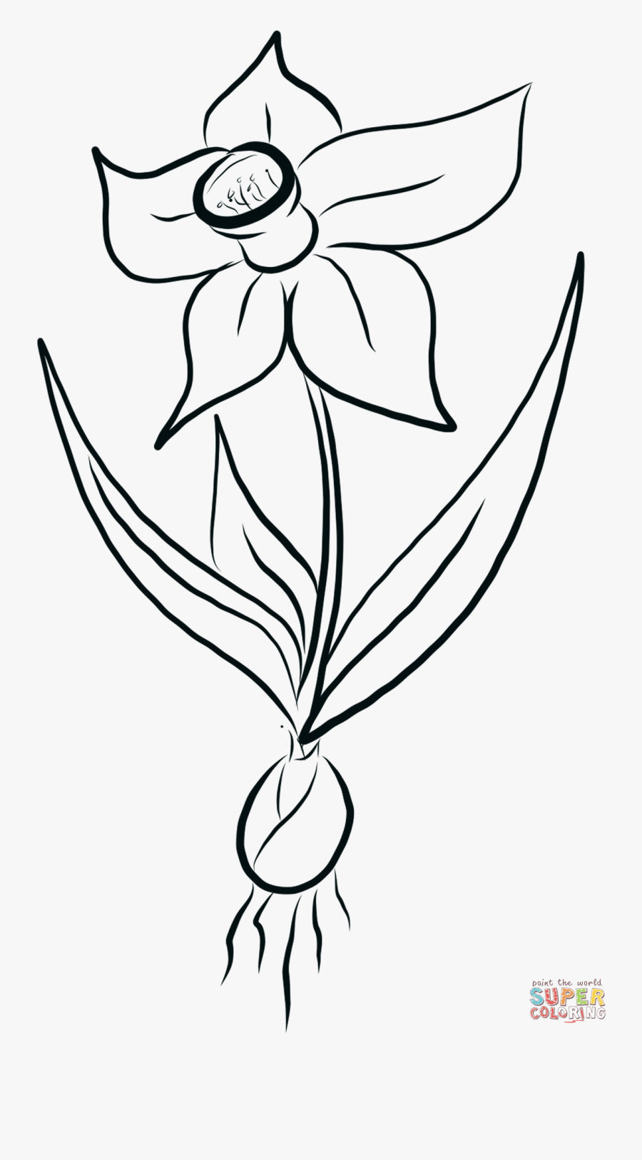 Transparent Daffodil Png - Coloring Book, Transparent Clipart