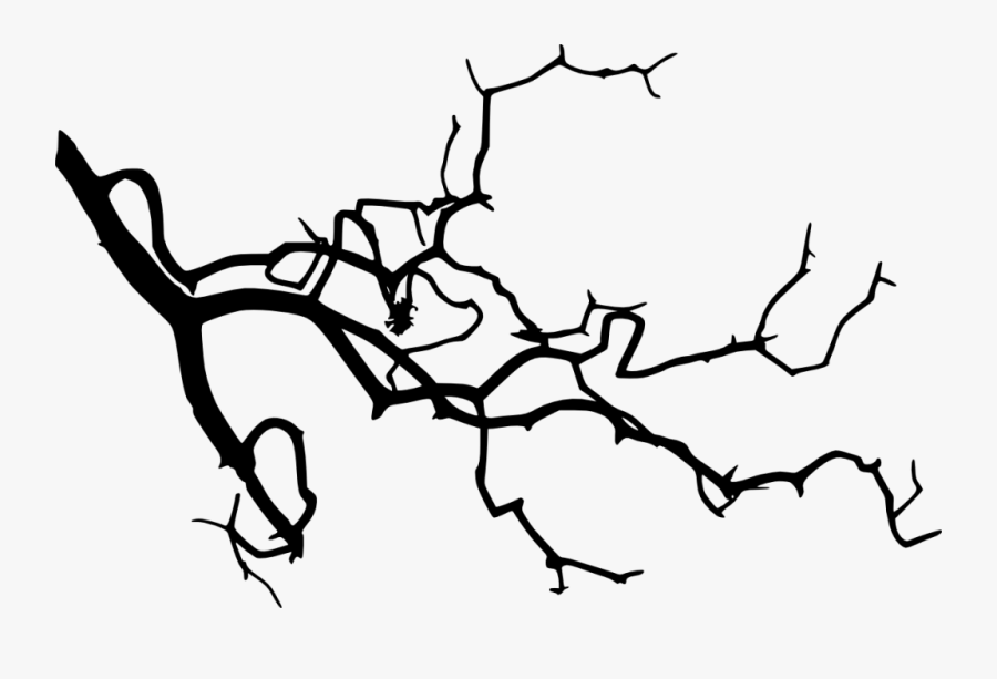 Tree Branch Silhouette Png - Tree Branches Silhouette Png, Transparent Clipart