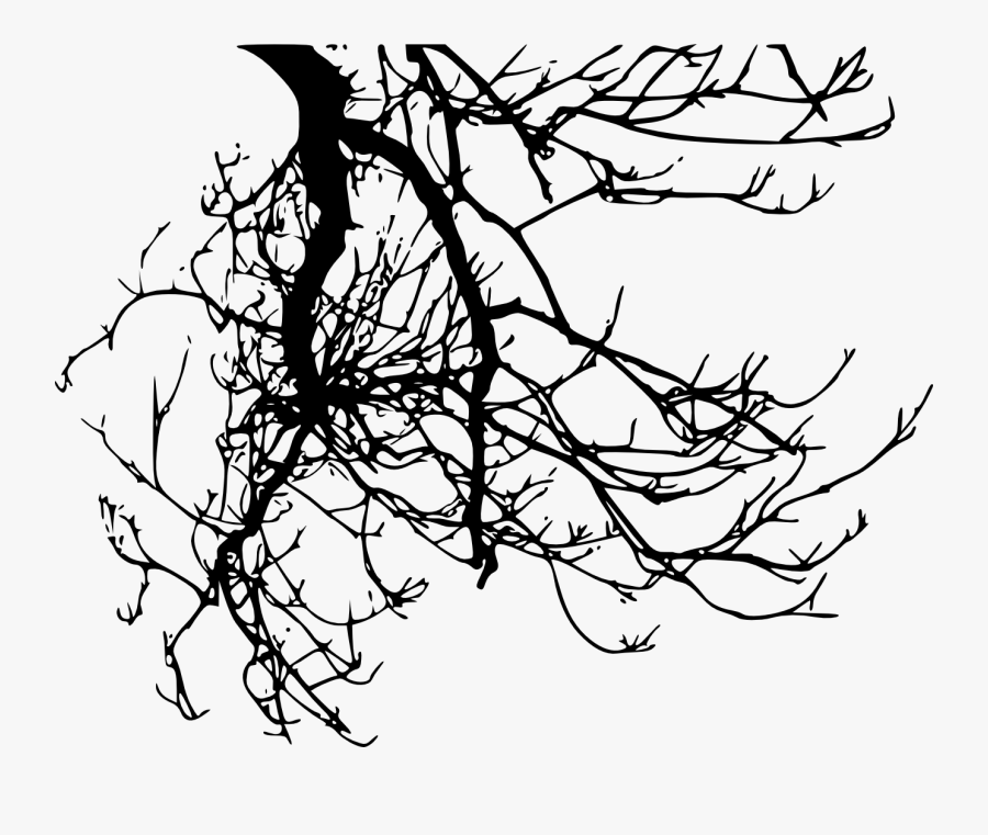 Silhouette Tree Branch - Branches Png, Transparent Clipart