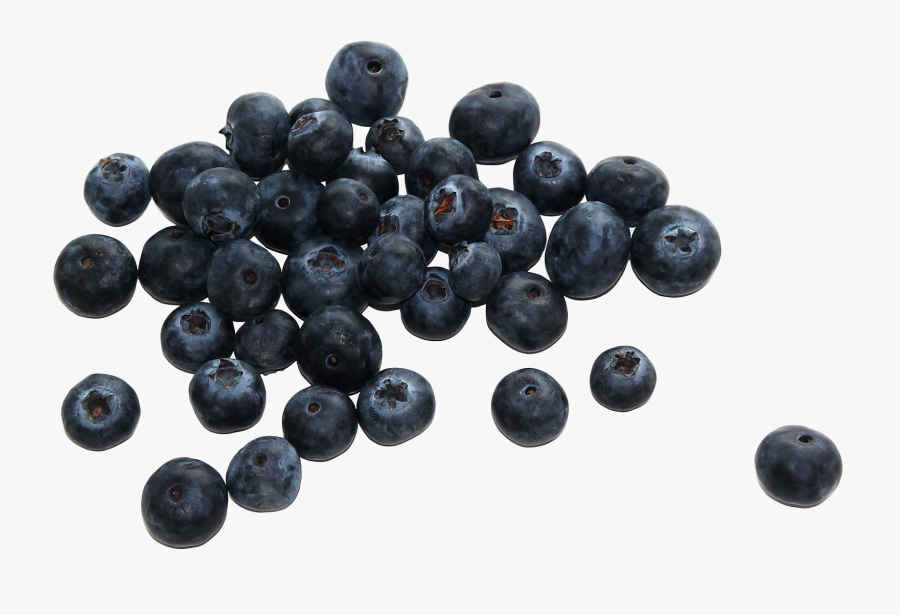 Clip Library Download Berries Drawing Berrie - Blueberries Png, Transparent Clipart