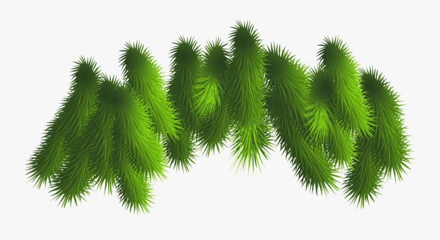 Christmas Tree Branch Png - Christmas Tree Branches Png, Transparent Clipart