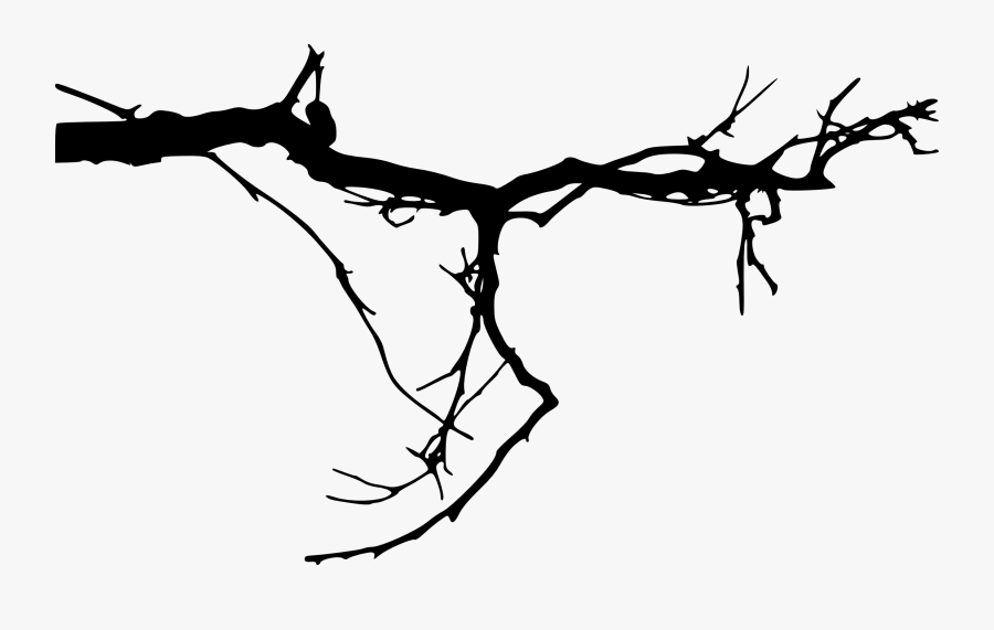 Branches At Getdrawings Com - Tree Branches Transparent Background ...