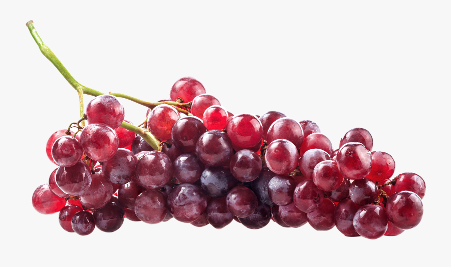 Grapes Clipart Grape Berry - Red Grapes Fruit Png, Transparent Clipart