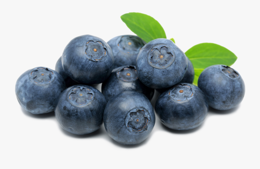 Berry Blueberry Clipart - Blueberries Transparent, Transparent Clipart
