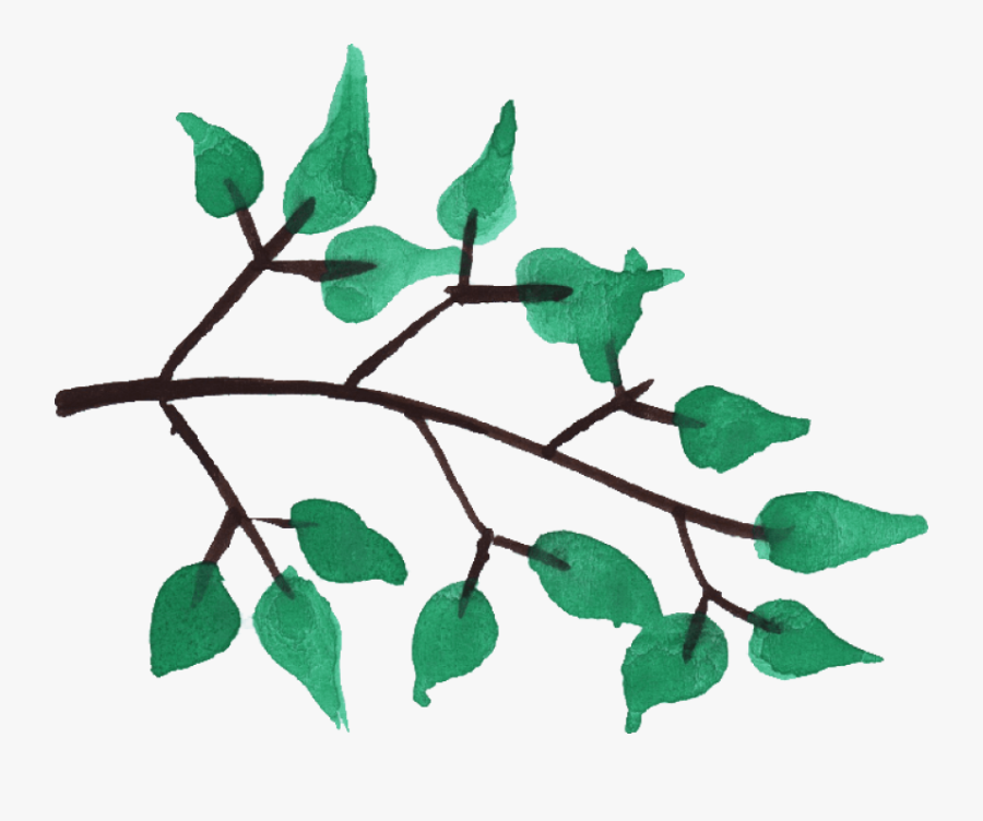 Tree Branches Transparent Background - Watercolor Tree Branches Png, Transparent Clipart