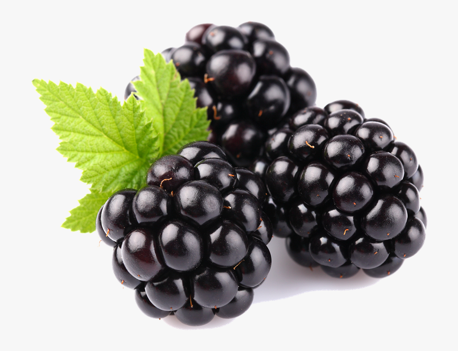 Blackberry Fruit - Fruits Blackberry, Transparent Clipart