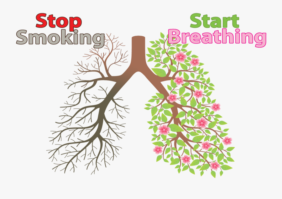 Stop Smoking Start Breathing, Transparent Clipart