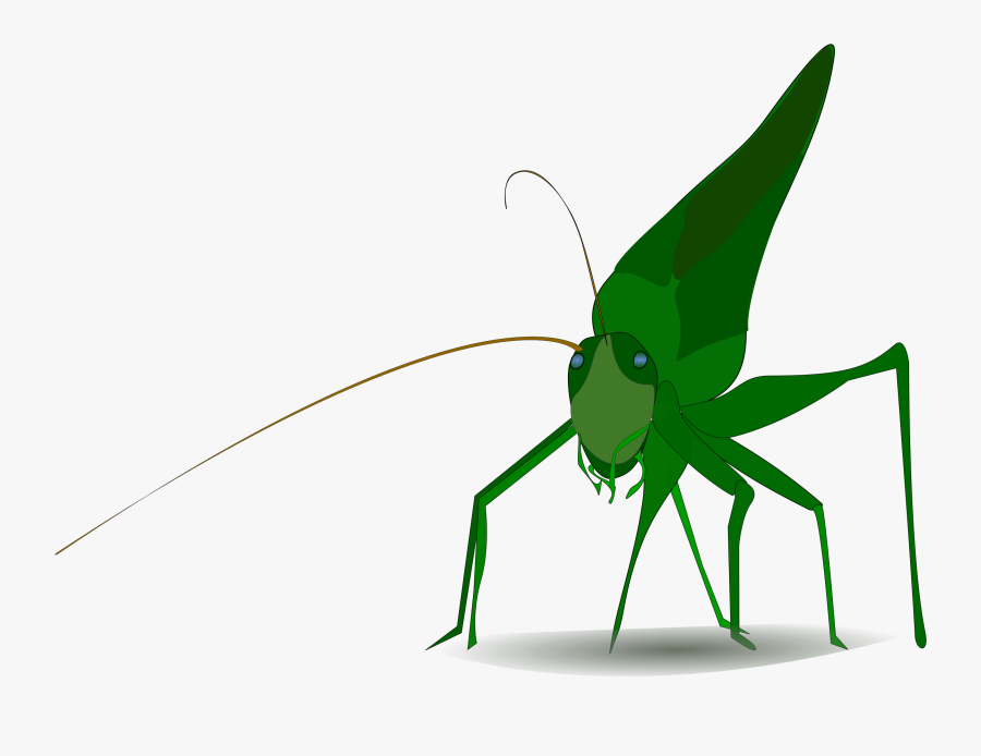 Insect Grasshopper Cricket Cartoon Drawing - Grasshopper Clipart, Transparent Clipart