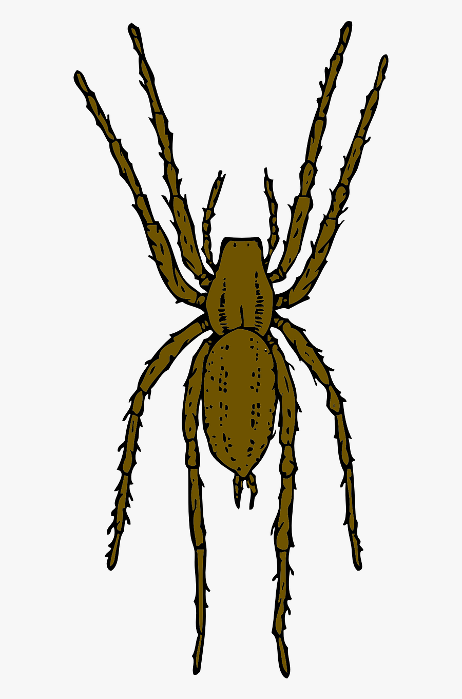 Brown Spider Clipart By Johnny Automatic - Araña Insecto, Transparent Clipart