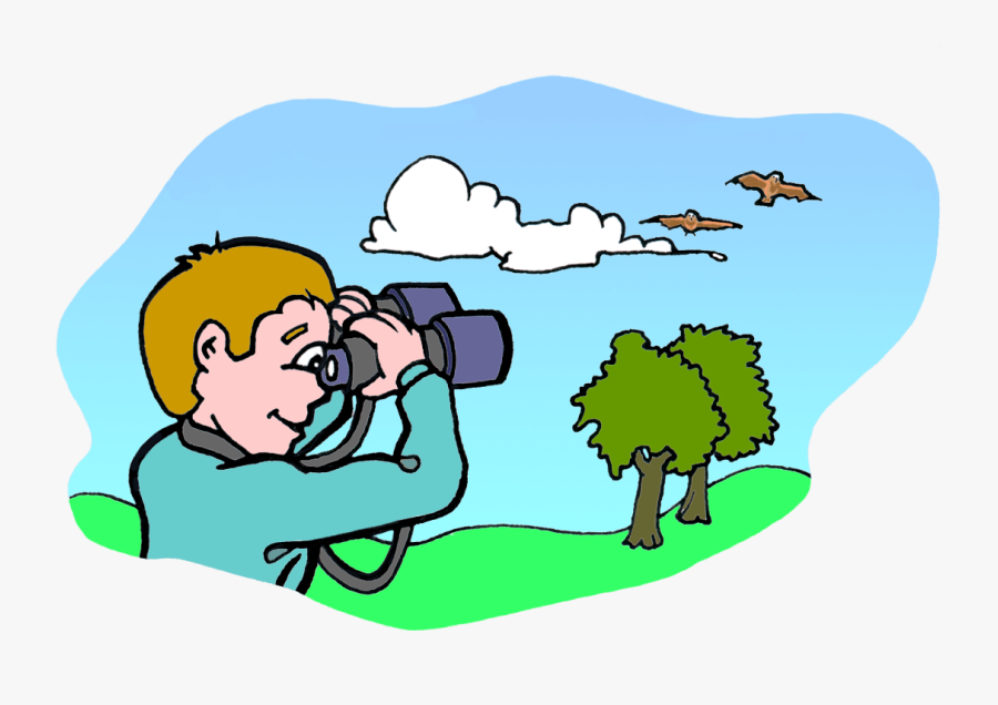 Bio Benefits Ology Science - Birds Flying Above The Trees, Transparent Clipart