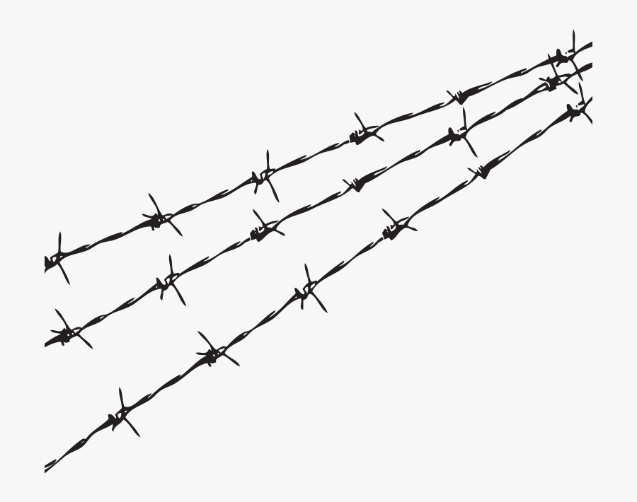 Fence Barbed Wire Png - Transparent Background Barbed Wire Png, Transparent Clipart