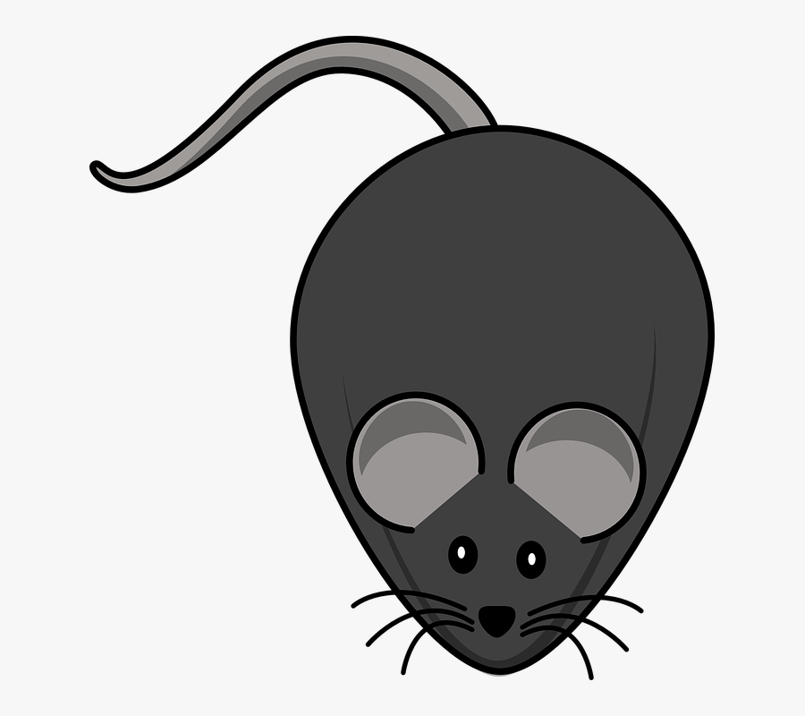 Transparent Cute Mouse Clipart - Mice Cartoon , Free Transparent