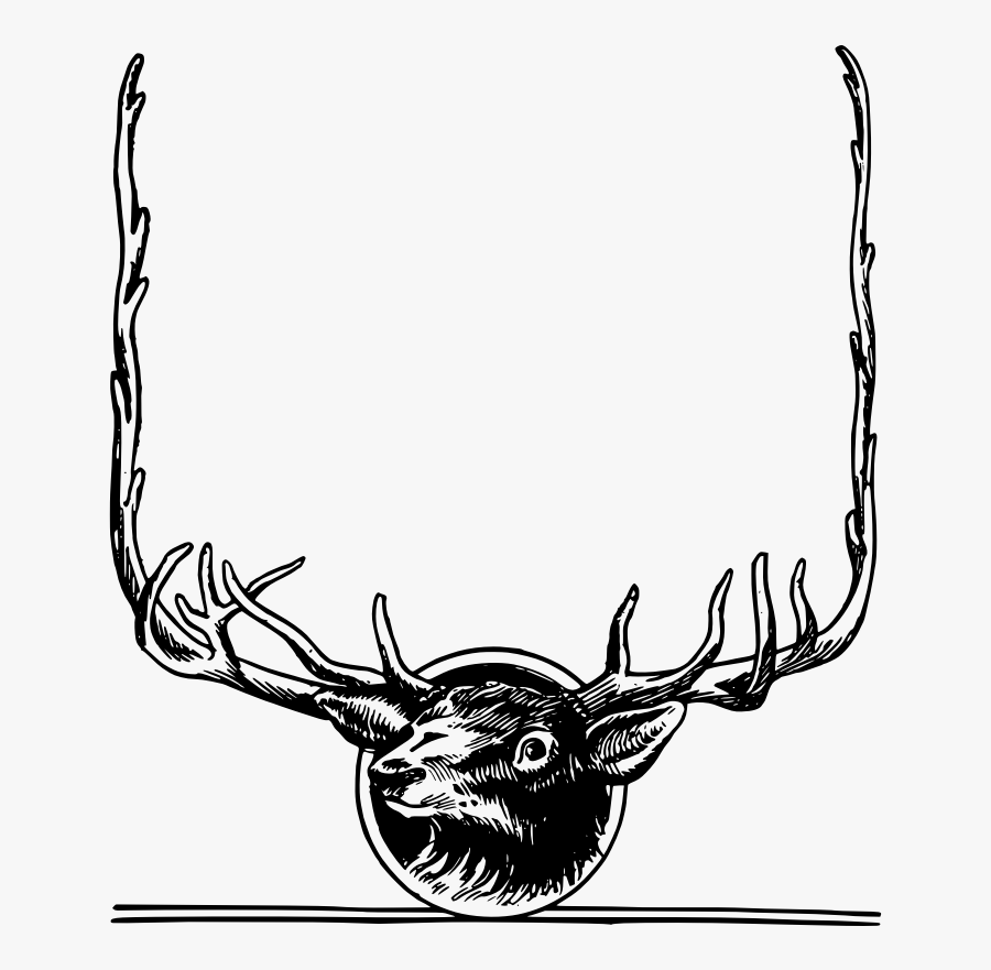 Deer Frame - Deer Frame Png, Transparent Clipart