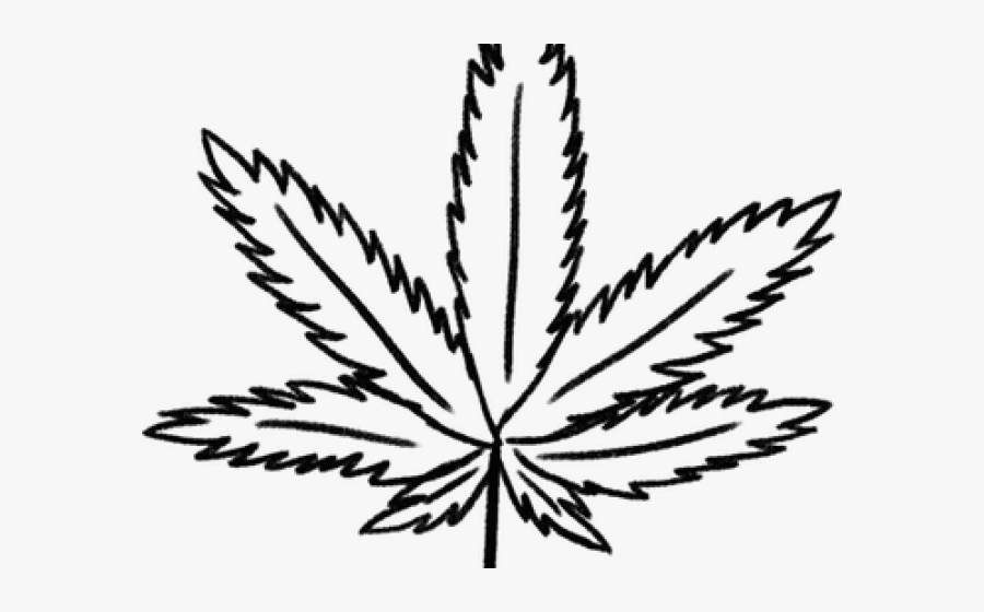 Cannabis Drawing Png, Transparent Clipart