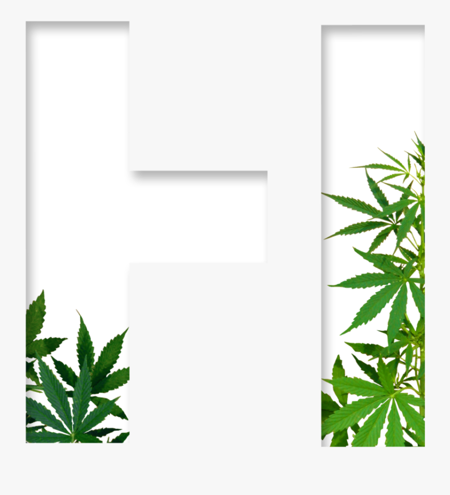 Holistics - Imagenes De Cannabis Sativa Png, Transparent Clipart