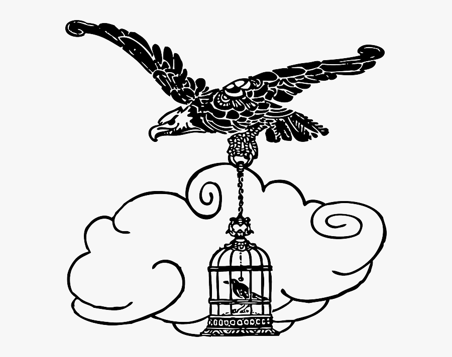 Cartoon, Eagle, Birds, Bird, Flying, Animal - Cage Bird Line Drawing, Transparent Clipart