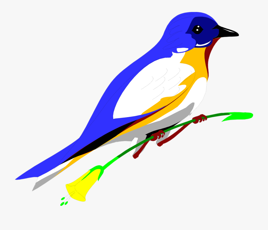 Parrot Clipart - Blue Yellow Bird Flying, Transparent Clipart