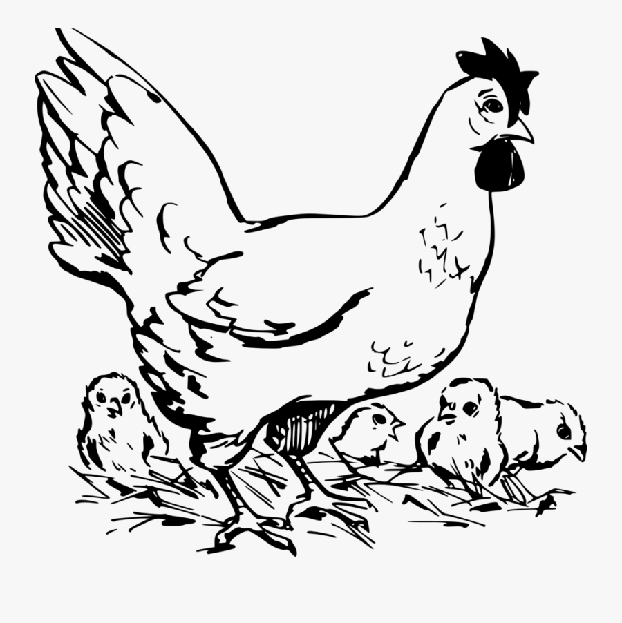 Chickens Clipart Black And White, Transparent Clipart