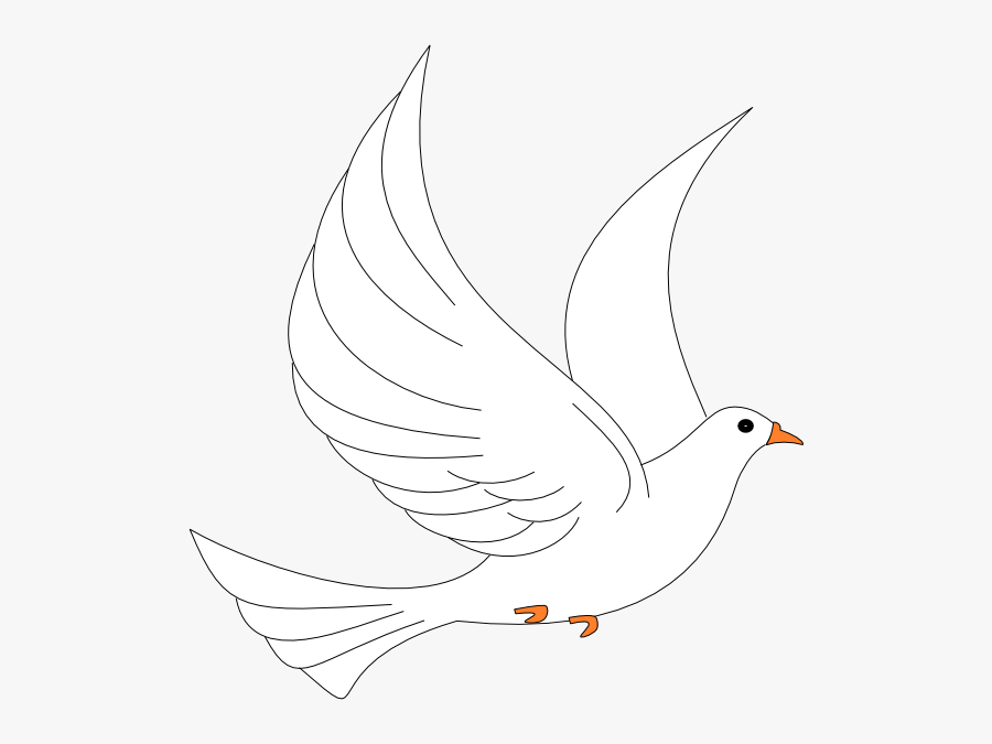 Transparent Background Holy Spirit White Dove, Transparent Clipart