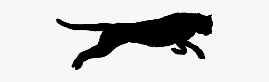 Black Jaguar Animal Jumping Clipart Transparent Background - Cat Jumps, Transparent Clipart