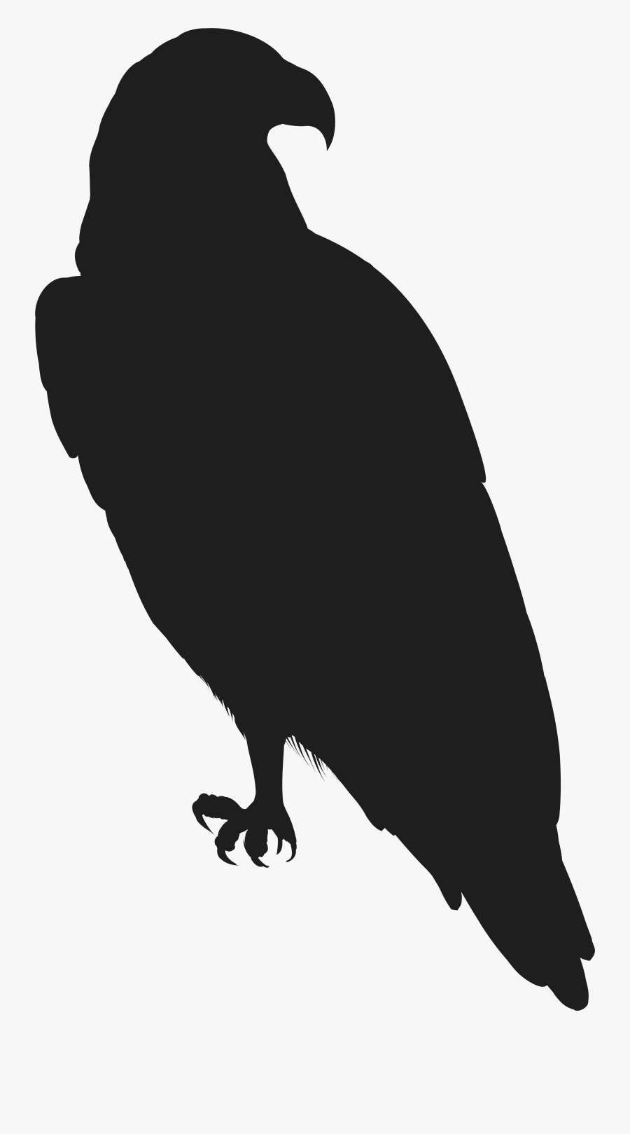 Eagle Clipart Name - Silhouette Of A Eagle Png, Transparent Clipart