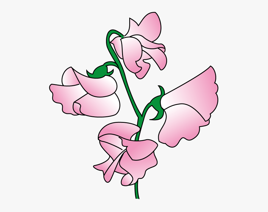 Thumb Image - Sweet Pea Flower Clip Art, Transparent Clipart