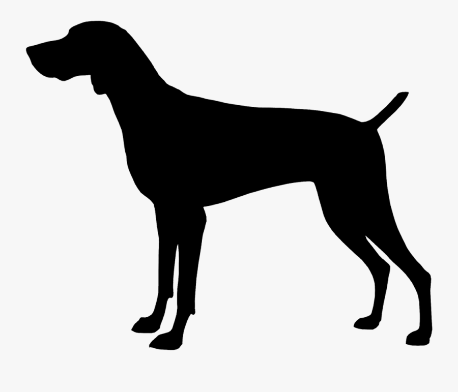 Clipart Dogs Gsp - Horse Silhouette Svg Free, Transparent Clipart