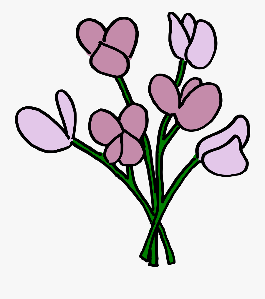 Smelling Flower Clipart - Sweet Pea, Transparent Clipart