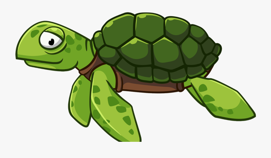 Cartoon Sea Turtle Png, Transparent Clipart