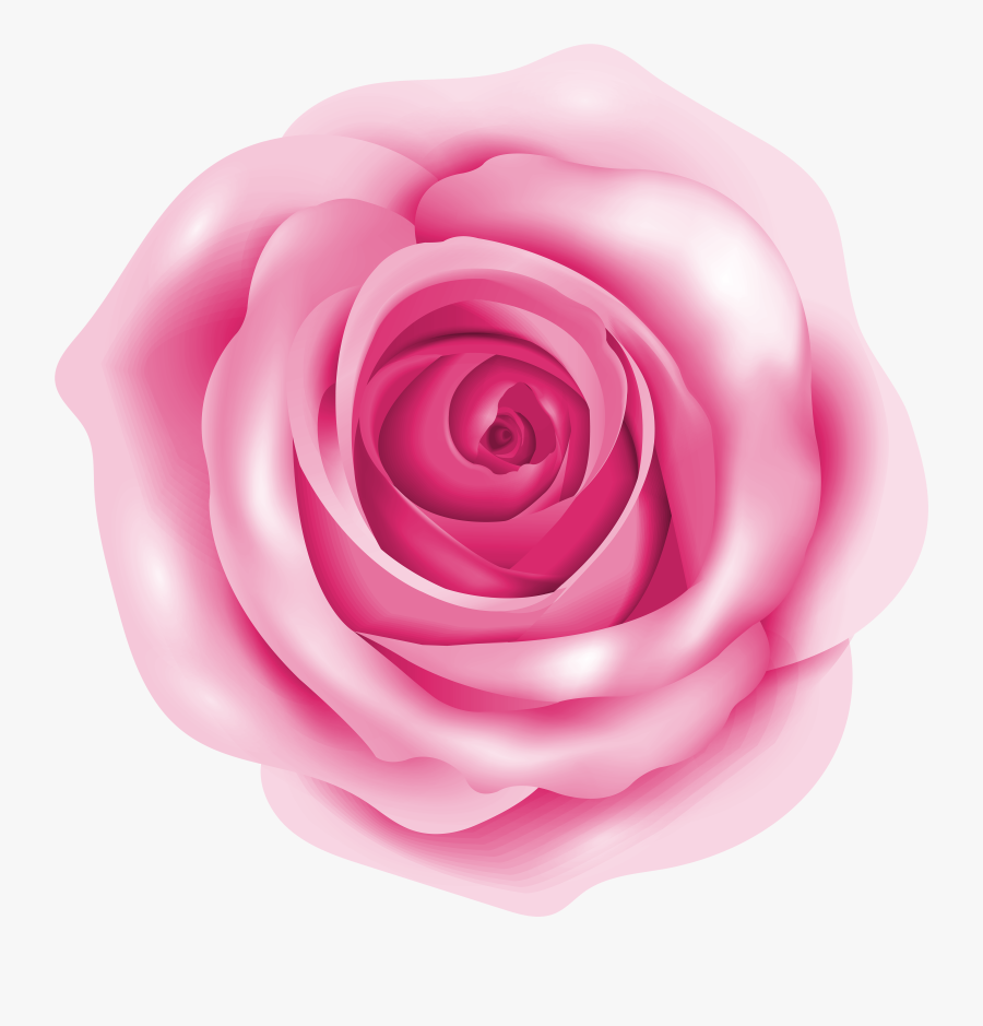 Png Clip Art Image - Pink Rose Png Clip Art, Transparent Clipart