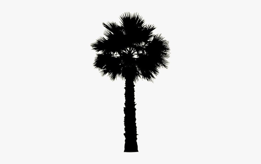 Transparent Palm Tree Easy Clipart, Palm Tree Easy - Borassus Flabellifer, Transparent Clipart