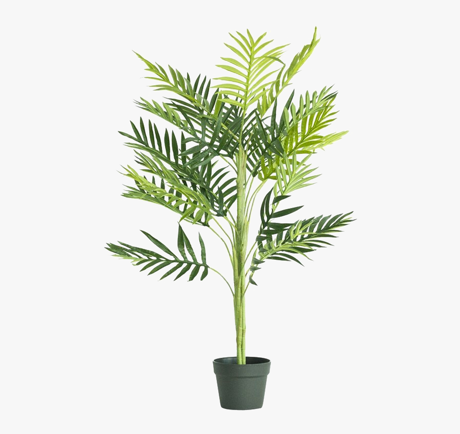 Houseplant, Transparent Clipart