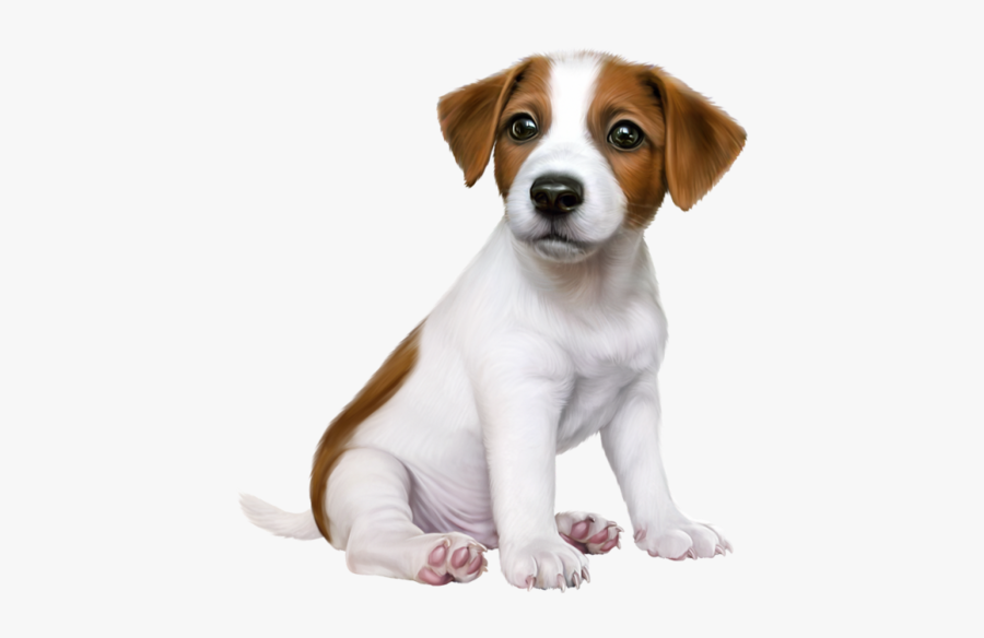 Small Dogs And Puppies, Transparent Clipart