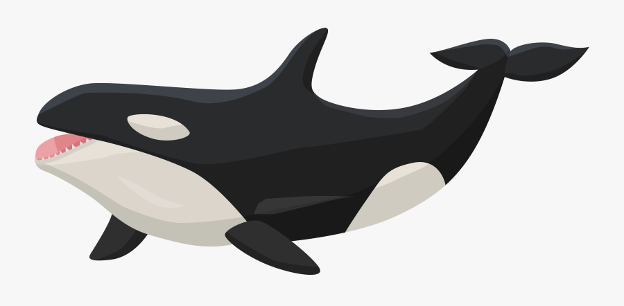 Orca Transparent Png Clip Art Image - Orca Transparent, Transparent Clipart