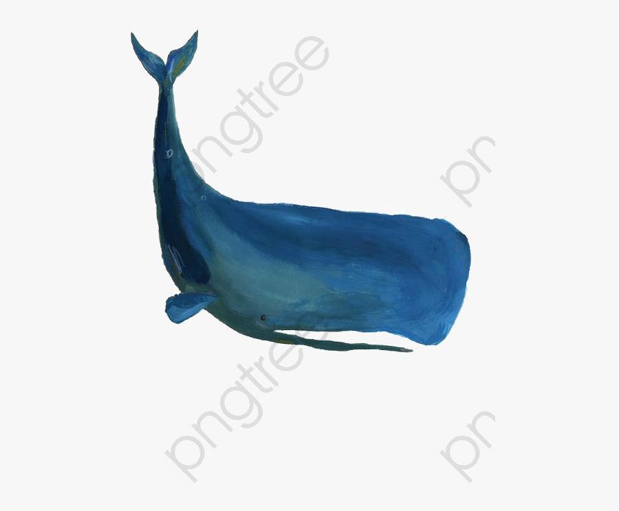 Sperm Whale - Whale Illust, Transparent Clipart