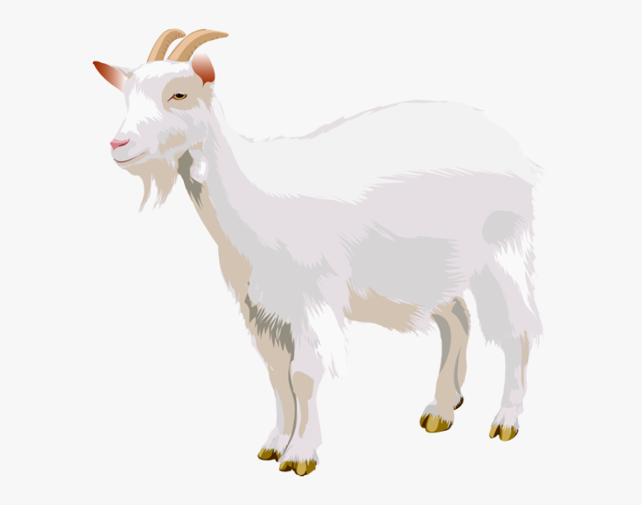 Download Goat Png Transparent Images Transparent Backgrounds - Portable Network Graphics, Transparent Clipart