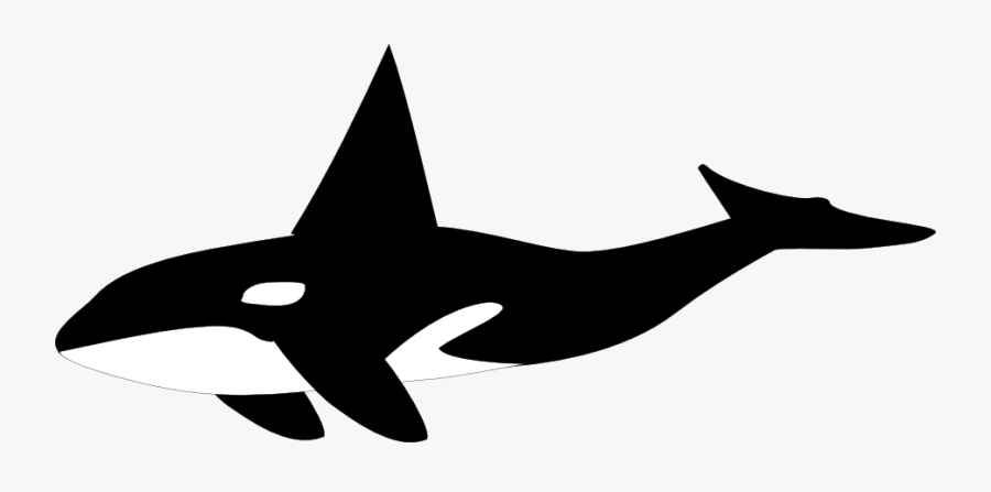 Orca Clip Art, Transparent Clipart