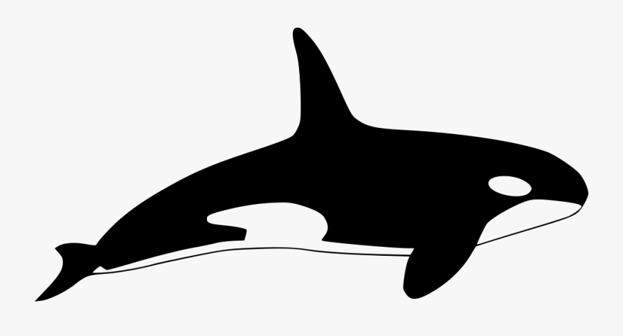Image Free Stock Svg Free On Dumielauxepices - Orca Png, Transparent Clipart