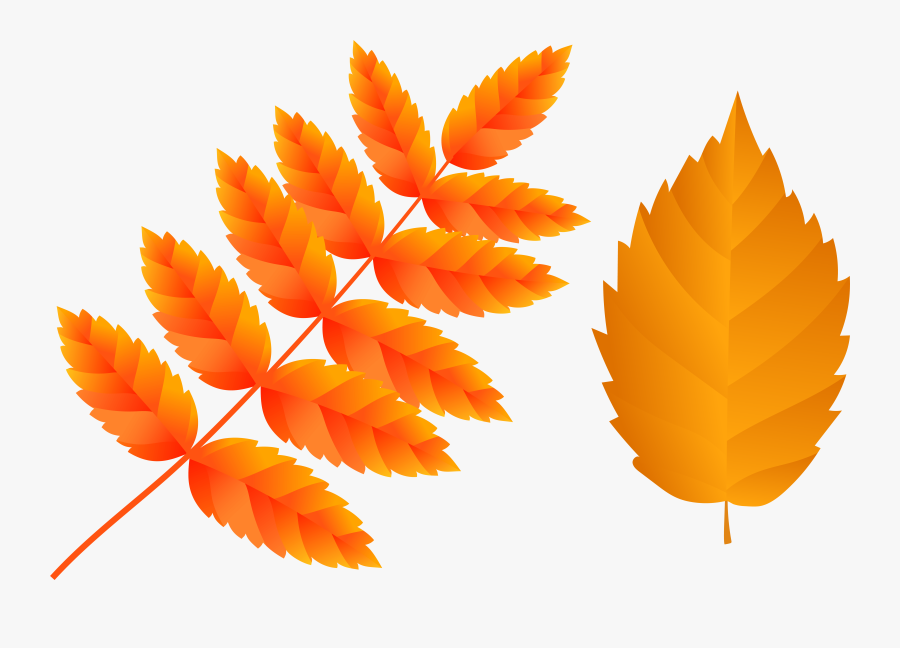 Clipart Fall Orange Leaf - Illustration, Transparent Clipart