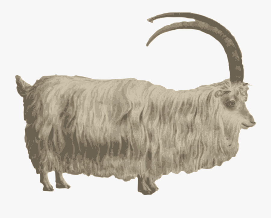 Gafr Mynydd Mountain Icons - Mountain Goat Png, Transparent Clipart