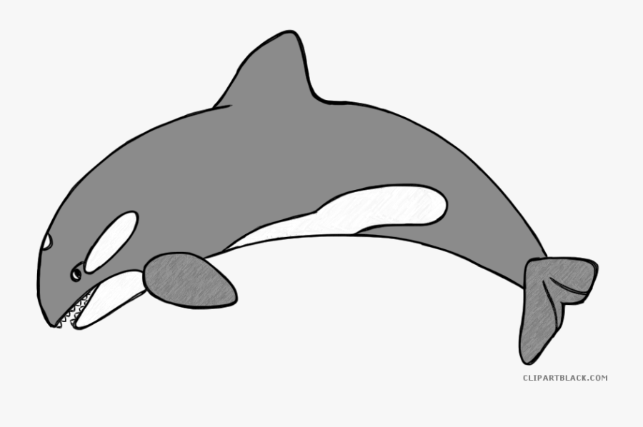 Huge Freebie Download For Powerpoint Presentations - Killer Whale Kid Drawing, Transparent Clipart