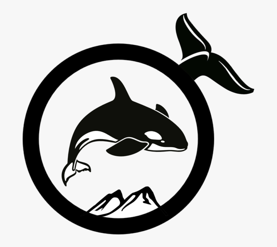 Orca Clipart Black And White - Clipart Black And White Orca, Transparent Clipart