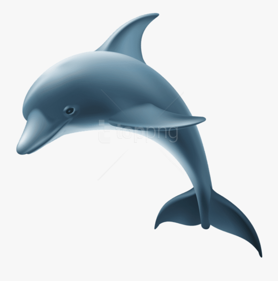 Dolphin Clip Art Png Free, Transparent Clipart