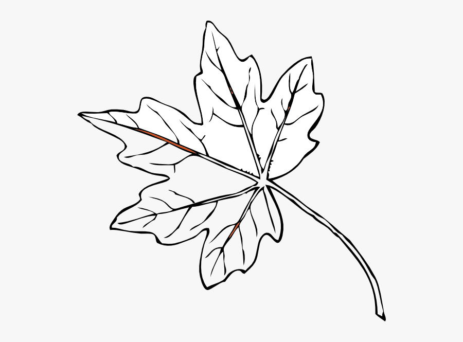 Transparent Leaves - Maple Leaves Black And White, Transparent Clipart