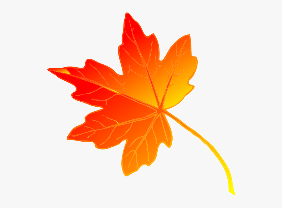 Maple Leaf Free To Use Clipart - Fall Leaves Clip Art, Transparent Clipart