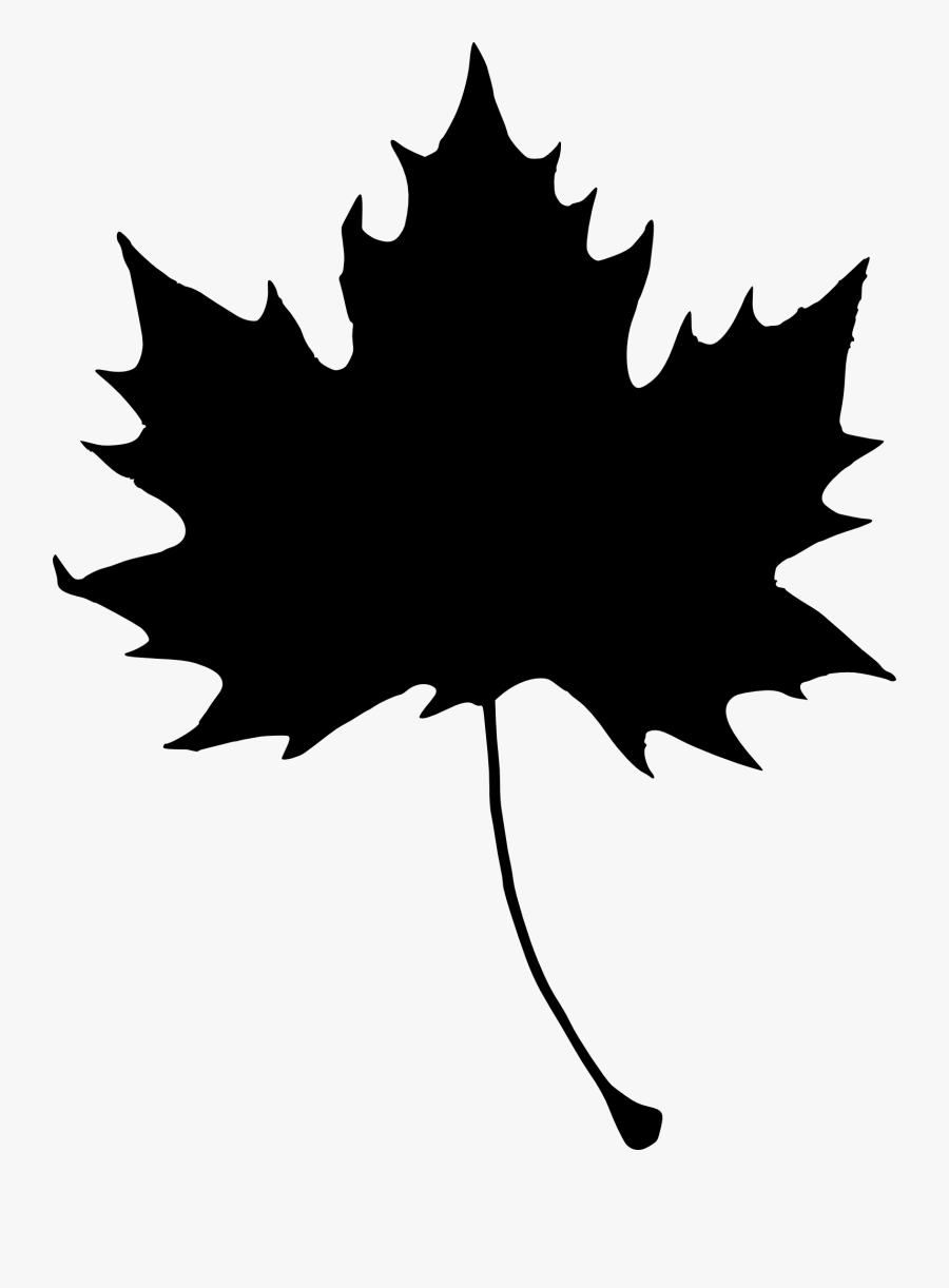 Download Maple Leaf Clipart Svg Maple Leaf Leaf Silhouette Clip Art Free Transparent Clipart Clipartkey